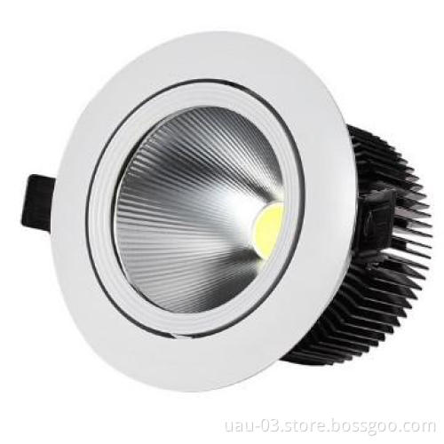 30W COB LED Downlight